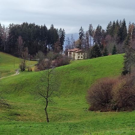 Green House Mountain Lake Iseo Hospitality Διαμέρισμα Bossico Εξωτερικό φωτογραφία