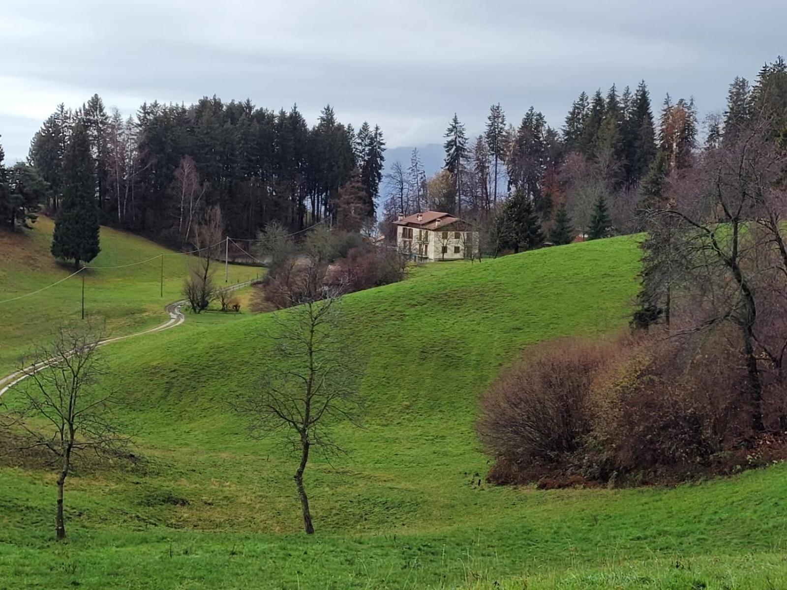 Green House Mountain Lake Iseo Hospitality Διαμέρισμα Bossico Εξωτερικό φωτογραφία