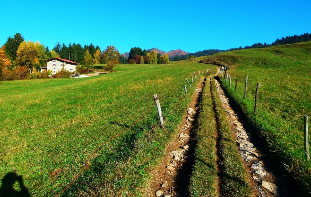Green House Mountain Lake Iseo Hospitality Διαμέρισμα Bossico Εξωτερικό φωτογραφία