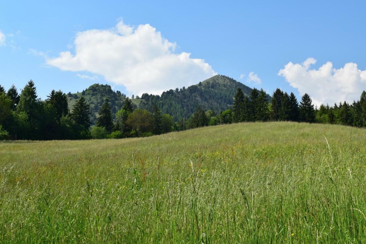 Green House Mountain Lake Iseo Hospitality Διαμέρισμα Bossico Εξωτερικό φωτογραφία