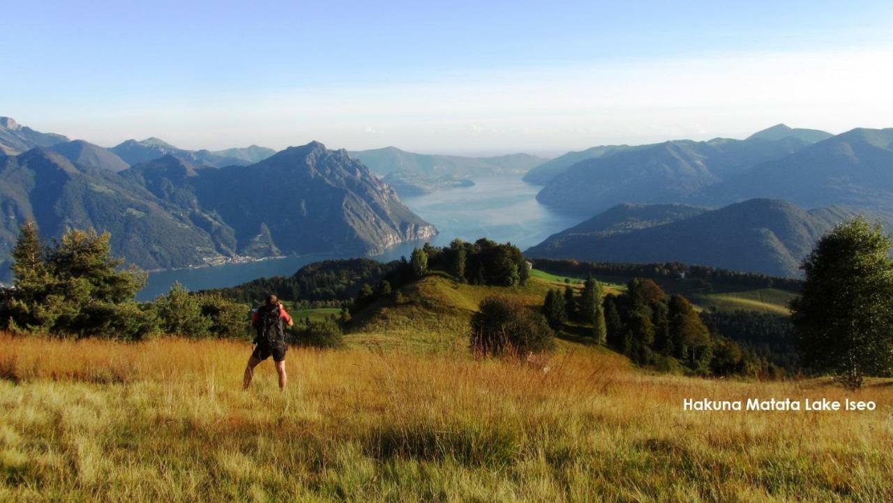 Green House Mountain Lake Iseo Hospitality Διαμέρισμα Bossico Εξωτερικό φωτογραφία